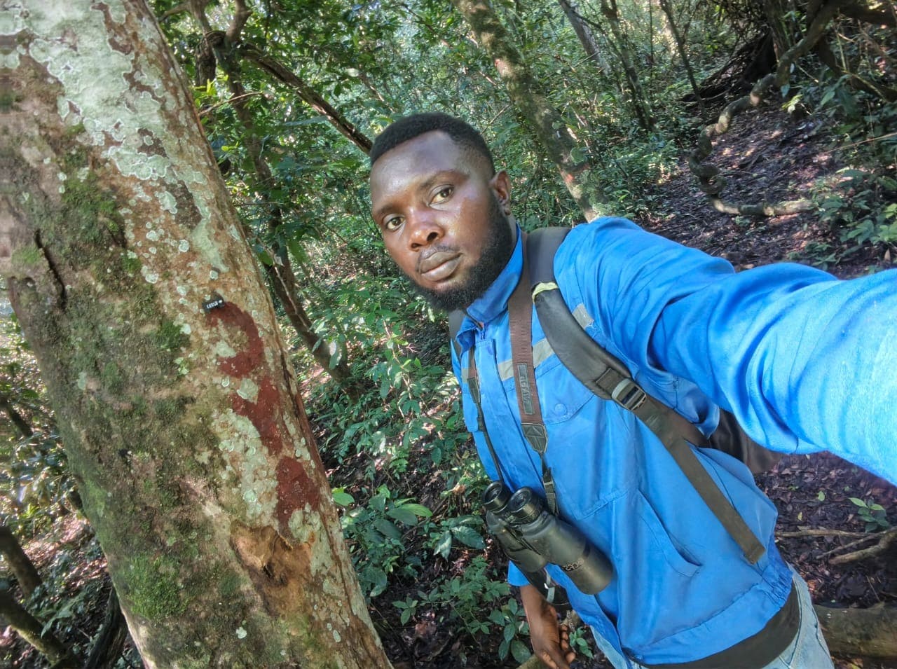 Field researcher pausing during a forest biodiversity monitoring survey.