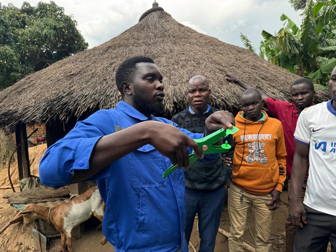 Demonstrating livestock handling equipment during a community training session in Uganda